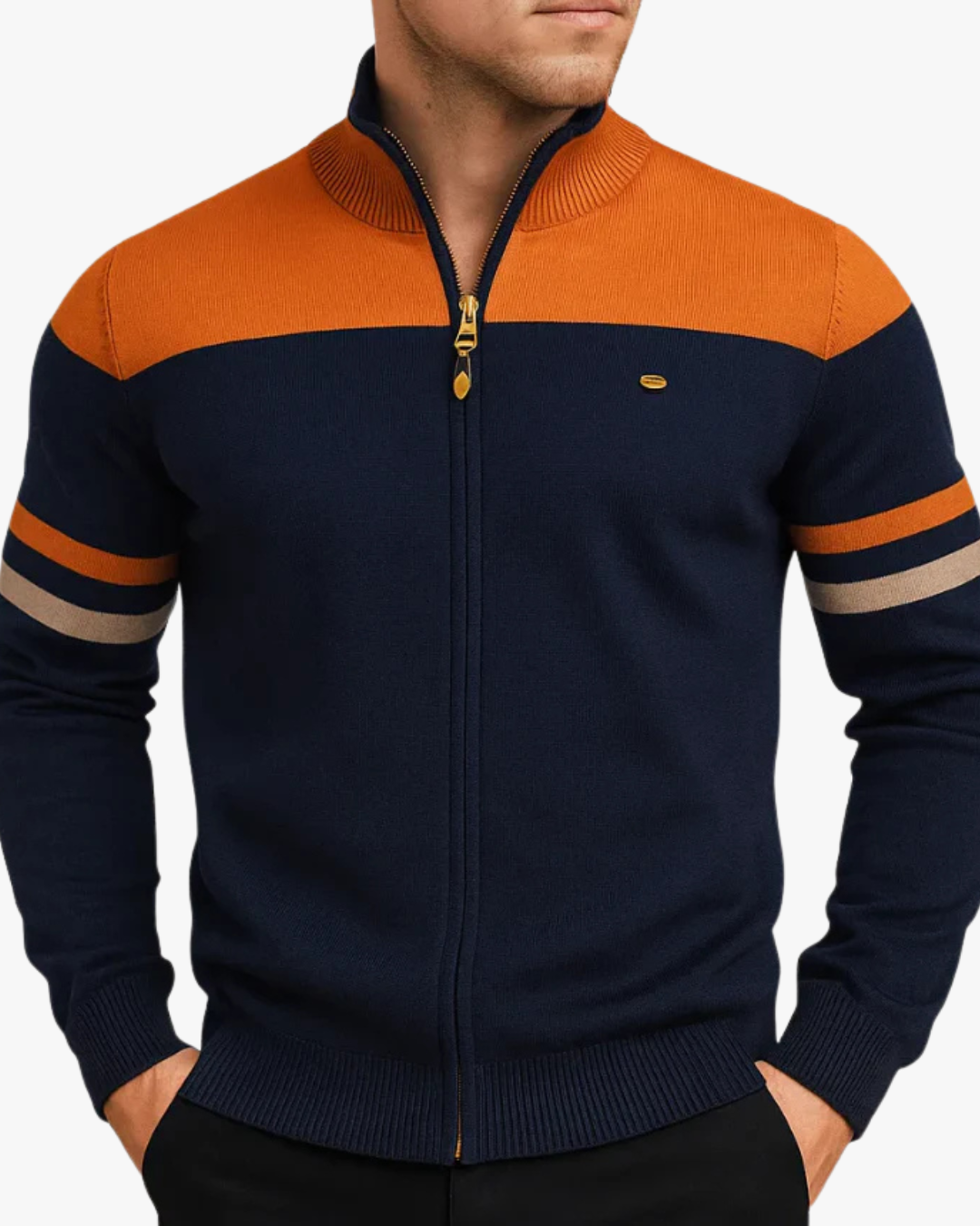 Troy Color Block Full-Zip Cotton Sweatshirt